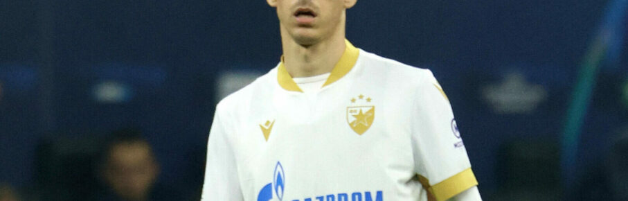 Luka Ilic