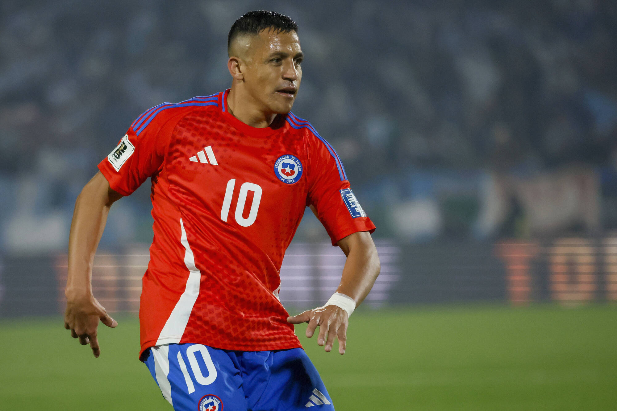 Alexis